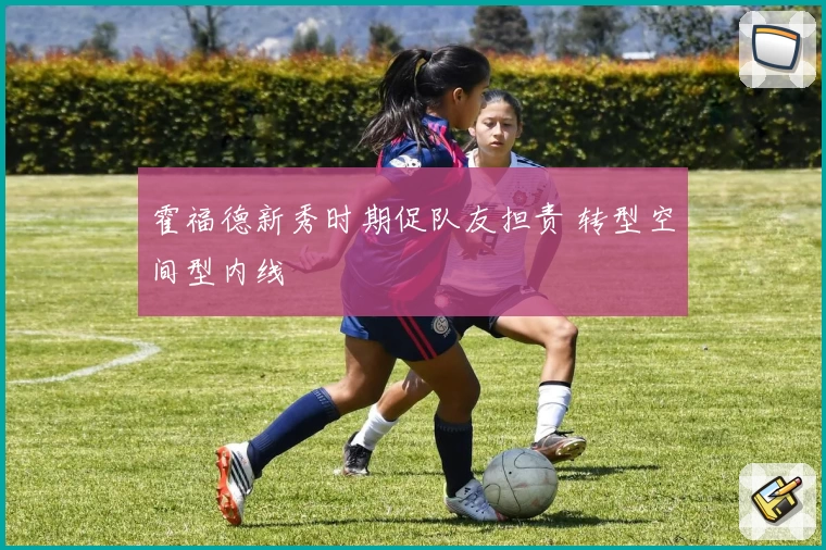 霍福德新秀时期促队友担责 转型空间型内线