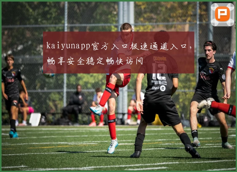 kaiyunapp官方入口极速通道入口，畅享安全稳定畅快访问